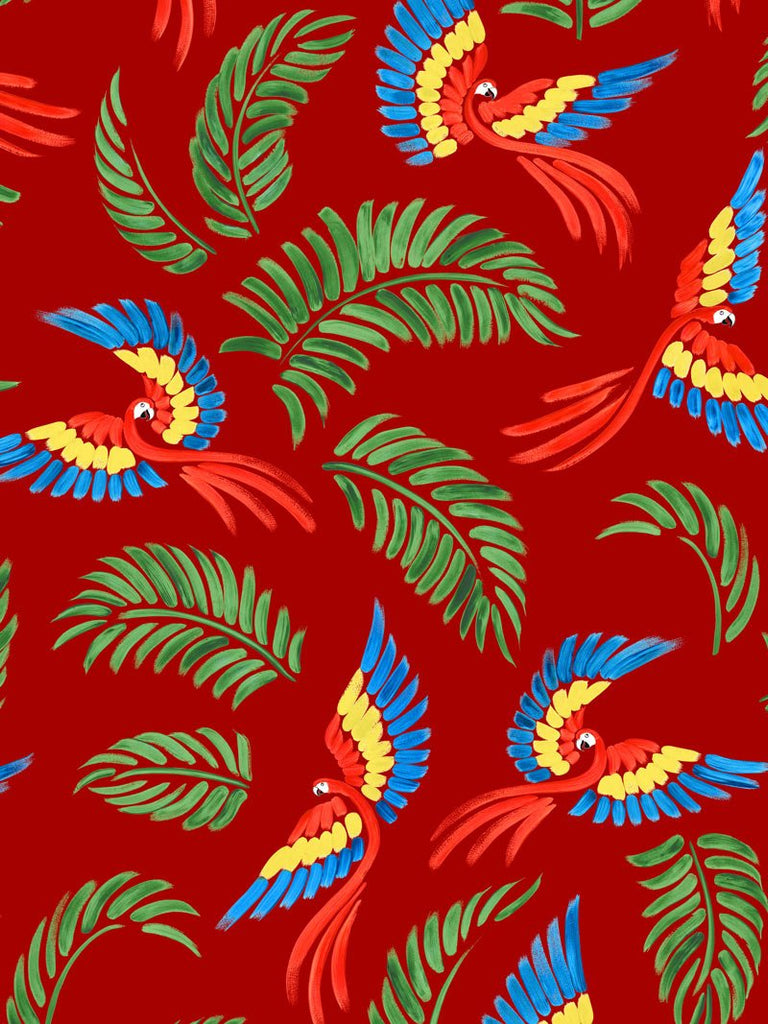 Samba – Dansez à Rio de Janeiro!